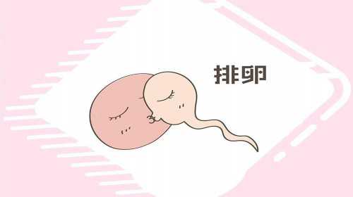 天津最可靠的代孕中介,北京三代试管包男孩费用