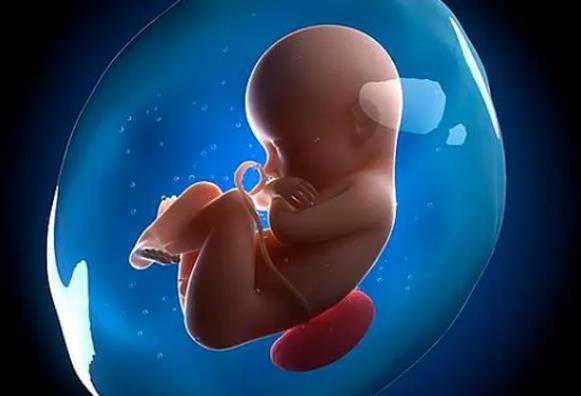 失独供卵助孕,2023天津生殖助孕医院排名？第三代试管婴儿助孕机构名单参考？