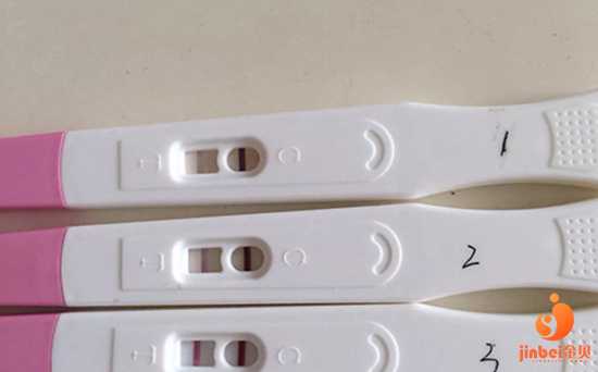 哪里有供卵子,美国的第三方助孕公司是怎么选择第三方助孕人的?