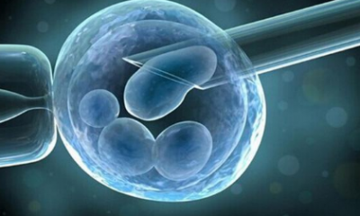 天津单身男性可以做代孕,试管婴儿第一次移植胎停了第二次移植还会胎停吗-做